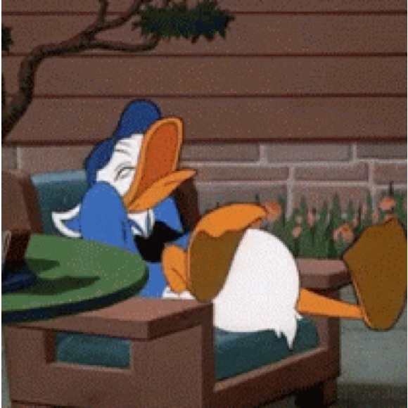 Welcome! - Picture 8 of 8